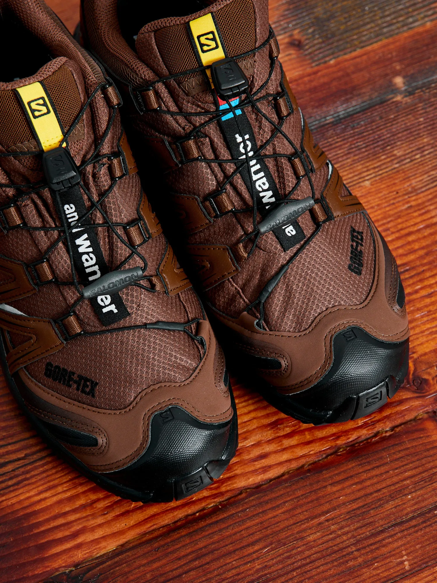 Salomon XA Pro 3D for and Wander in Brown