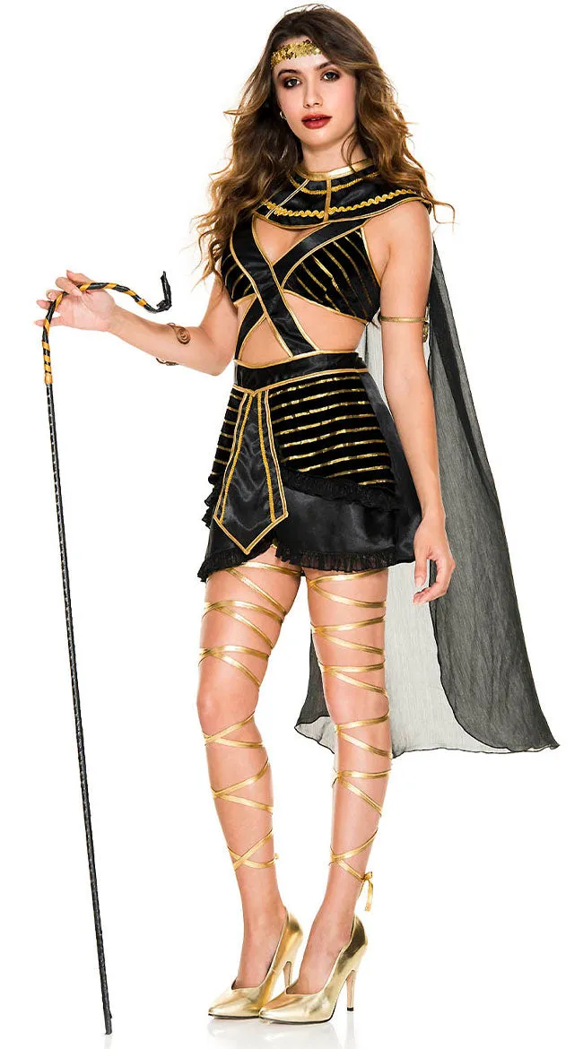 Stunning Egyptian Costume