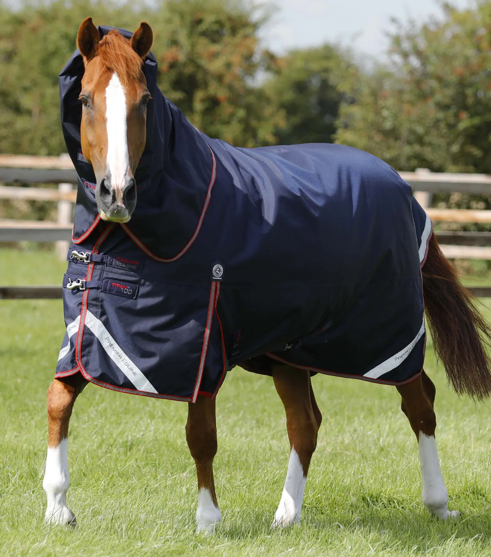 Titan 100g Turnout Rug with Snug-Fit Neck Cover Navy