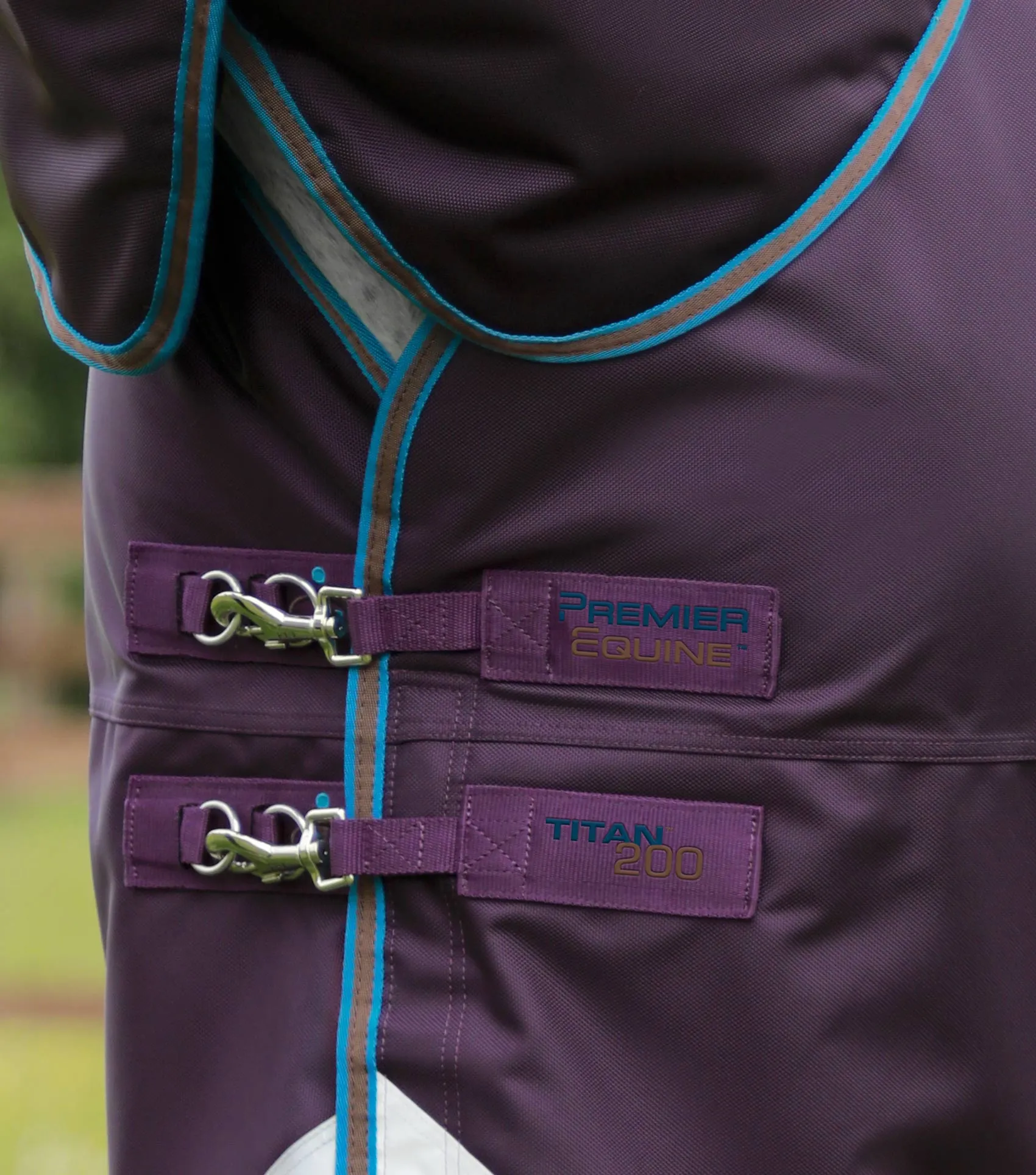 Titan 200g Turnout Rug with Snug-Fit Neck Cover Purple