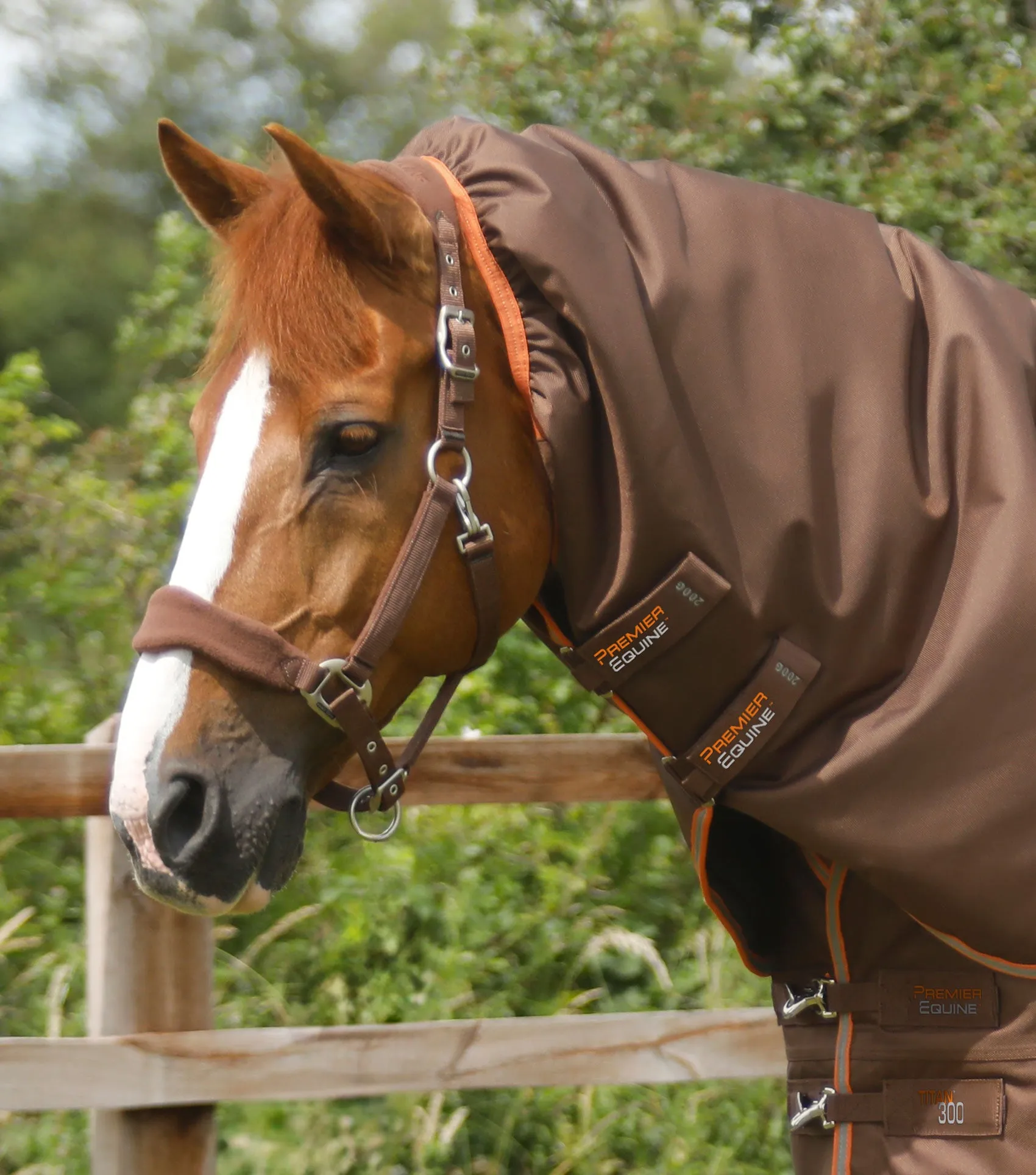 Titan 300g Turnout Rug with Snug-Fit Neck Cover Brown