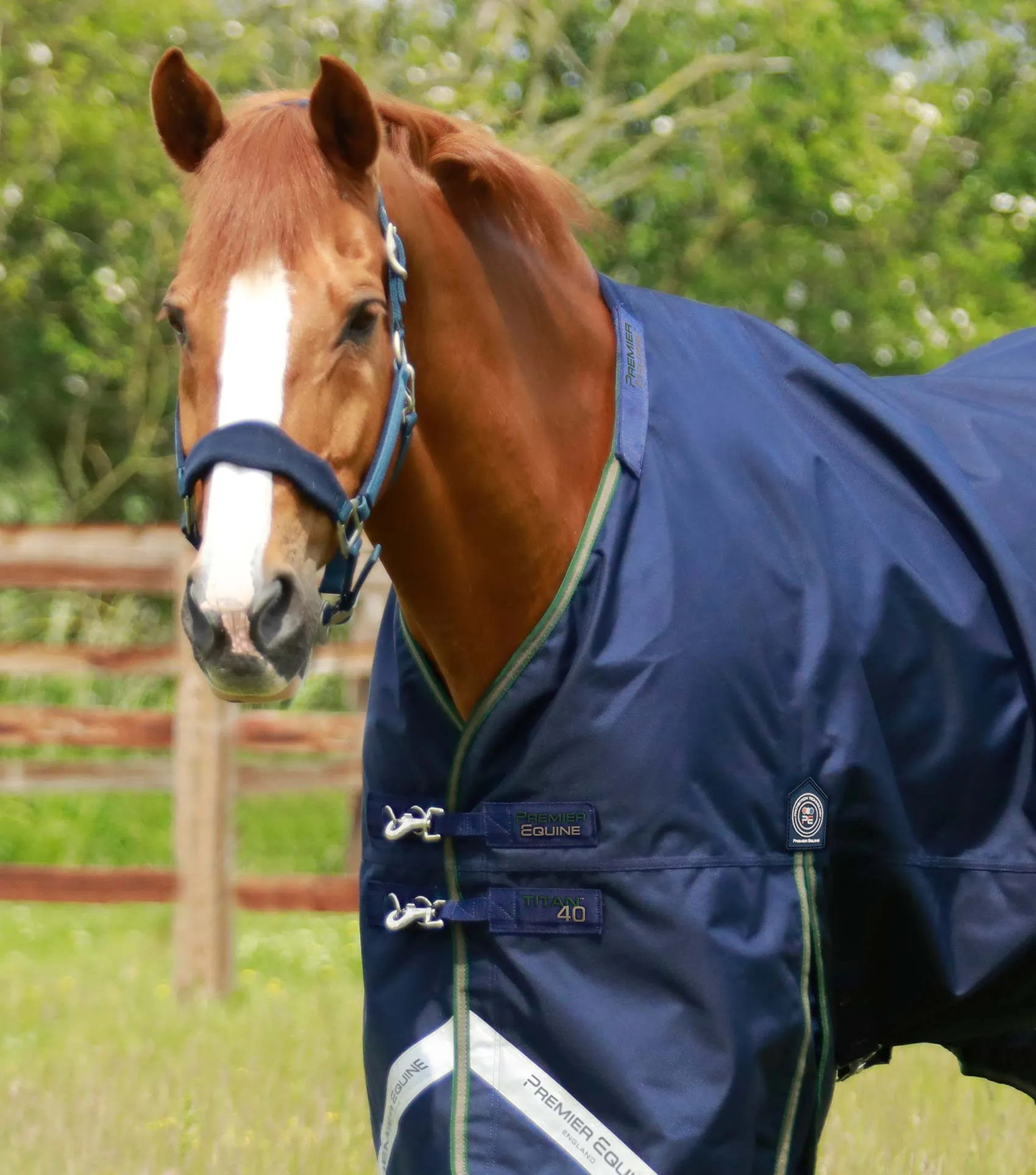 Titan 40g Turnout Rug with Snug-Fit Neck Cover Navy