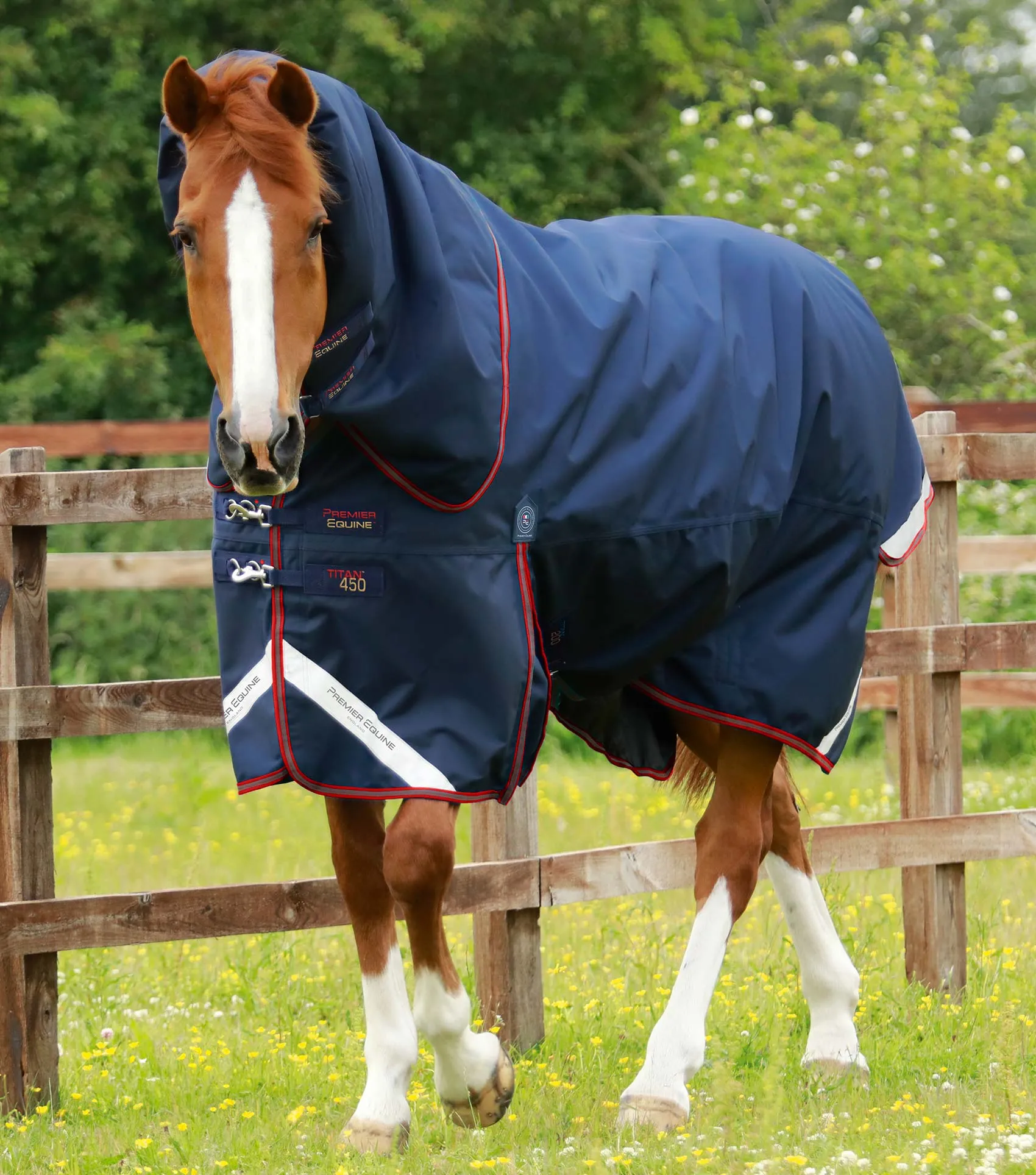 Titan 450g Turnout Rug with Snug-Fit Neck Cover Navy