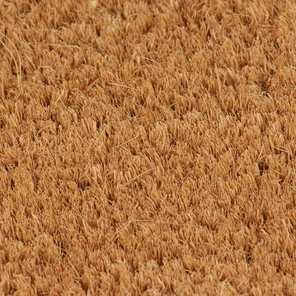 vidaXL Door Mat Natural Half Round 40x60 cm Tufted Coir